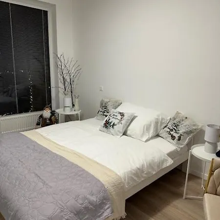 Modern Beautiful Close To The Center Apartment *
